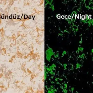 Luminous Galaxy dekoratif boya uygulaması ile hazırlanmış karanlıkta parlayan galaksi efektli duvar yüzeyi; gündüz sedefli premium görünüm, gece ise ışık depolayan fosfor parçacıkları ile yıldızlı gökyüzü etkisi sunan özel iç mekân kaplama sistemi ✨ Yüzey Özellikleri ◆ Gündüz zarif ve modern sedefli yüzey görünümü ◆ Gece parlayan yıldız tozu benzeri fosfor etkisi ◆ Çok katmanlı galaksi hissi veren dekoratif doku ◆ Işık altında enerji depolayan premium yüzey yapısı ◆ Derinlik ve hareket kazandıran özel efekt tasarımı 🏠 Mekânsal Etki ◆ Çocuk odaları ve oyun alanlarında büyüleyici atmosfer oluşturur ◆ Sinema odaları ve lounge alanlarında dikkat çekici görünüm sağlar ◆ Duvarı özel tasarım sanat alanına dönüştürür ◆ Gündüz ve gece farklı deneyim sunar 🛠️ Uygulama Kalitesi İtalyanART uzmanlığı ile uygulanan Luminous Galaxy sistemi; 21 yıllık tecrübe, profesyonel efekt boya ekibi ve kontrollü uygulama teknikleri sayesinde homojen fosfor dağılımı, dengeli parlaklık ve uzun ömürlü dekoratif kalite sunar. 📞 İletişim Tel: +90 551 108 18 85 Web: https://www.italyanart.com/